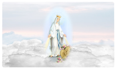DNSEMP-C-113 Lady of the Miraculous Medal B